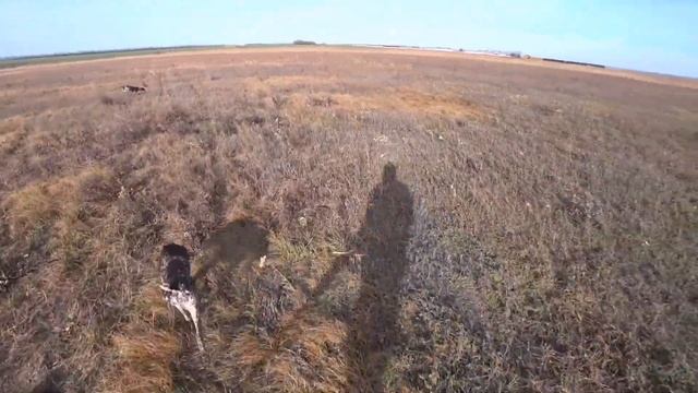 Охота или рыбалка? Утки с подхода, и Заяц в бронежилете. Гильза и Дефф! смотреть онлайн