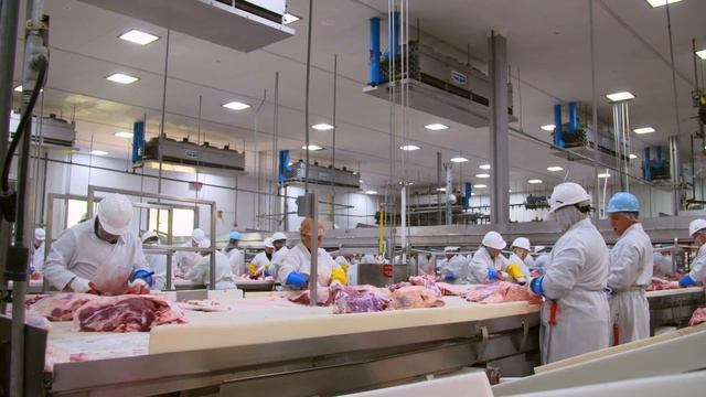 Washington Grown: Inside a Beef Slaughter Facility смотреть онлайн
