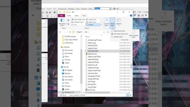 Cara Mengatasi Unable Rename Delphi32 di Delphi 7 смотреть онлайн