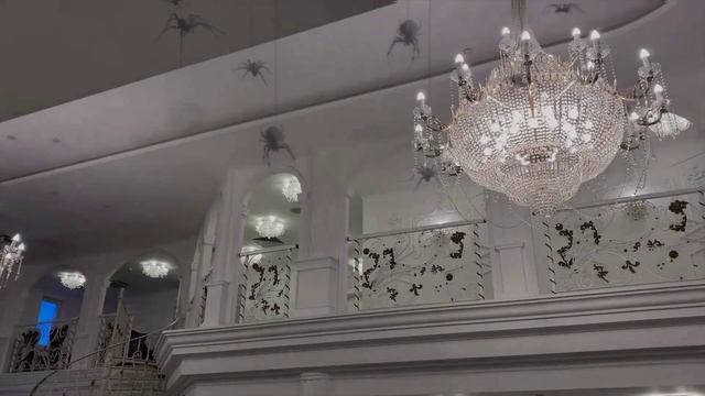 2года Милаши в стиле Уэнсдей. Гендерпати