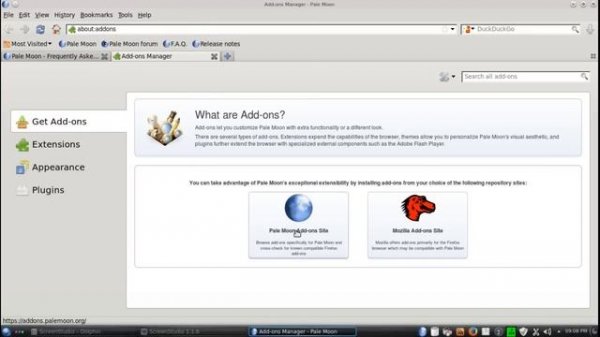 Pale Moon Browser For Linux & Windows
