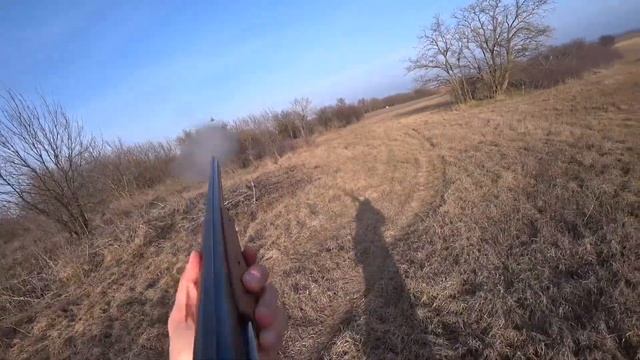 Вот это охота! Заяц и Гусь! смотреть онлайн