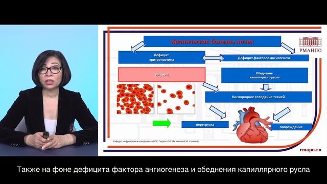 Артериальная гипертензия и хроническая болезнь почек. Клинический случай смотреть онлайн