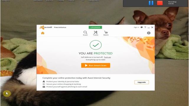How to remove the Avast Safe Price add-on from your browser смотреть онлайн