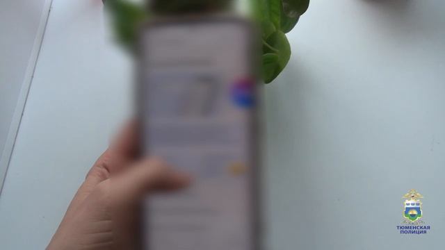 В Исетском районе женщину обманули мошенники, представившись работодателем и правоохранителями смотреть онлайн