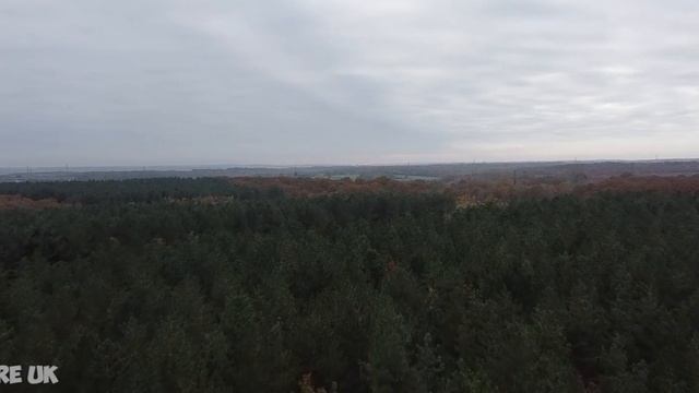 RE-WILDING BRITAIN || The Key To Saving Our Wildlife [DOCUMENTARY] смотреть онлайн