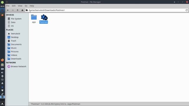 Install Postman | MX Linux Edition смотреть онлайн