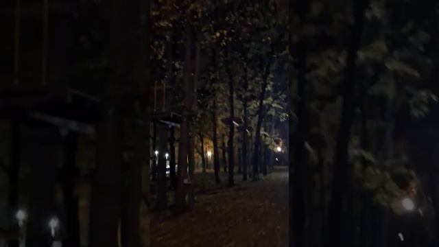 VID_20241007_151635_317.mp4