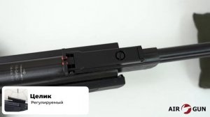 Пневматическая винтовка Borner Chance Two XS-QA8C