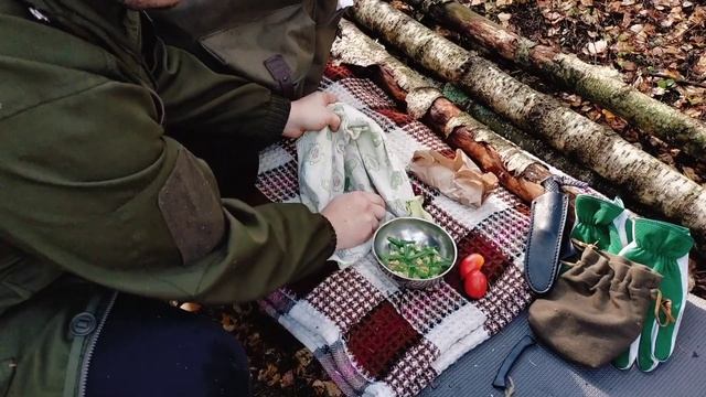 Поход выходного дня. Bushcraft.