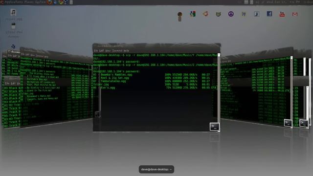 Beautiful Ubuntu desktop. Compiz Fusion window management tools. "Scale" and "Keyring Switcher смотреть онлайн