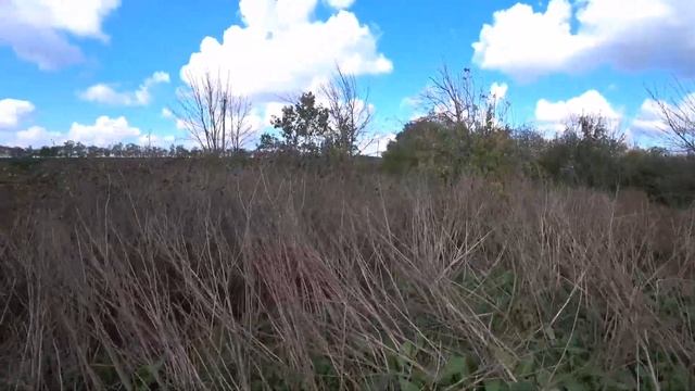 Гюрза, Комета, Охота, Клиника, 10 швов. смотреть онлайн