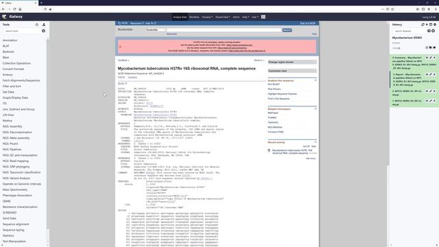 19. Galaxy Mycobacterium смотреть онлайн