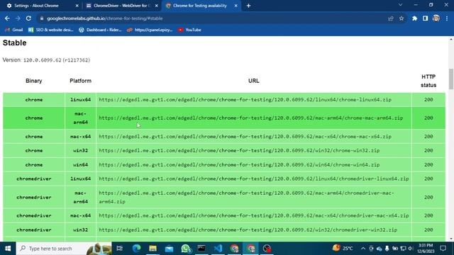 How to Download Chrome Driver 120 #chromedriver #webdriver #selenium смотреть онлайн