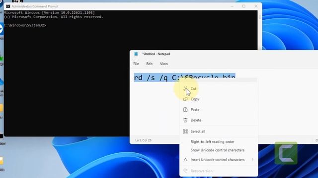 Deleted Files Keep Coming Back in Recycle Bin in Windows 11 Fix смотреть онлайн