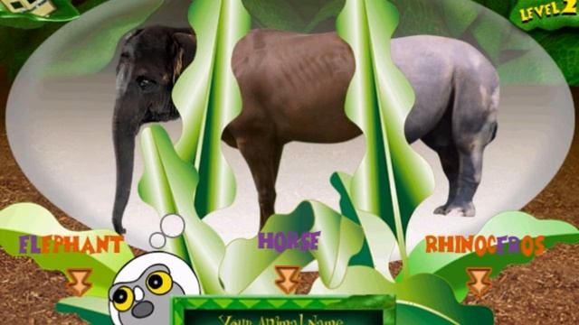 Whoa, I Remember: Zoboomafoo Animal Alphabet: Part 2 смотреть онлайн