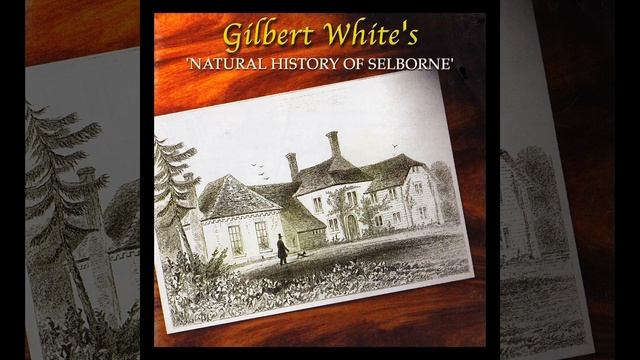 To Thomas Pennant - Letter 22 - 'Spires - Churn Owls смотреть онлайн