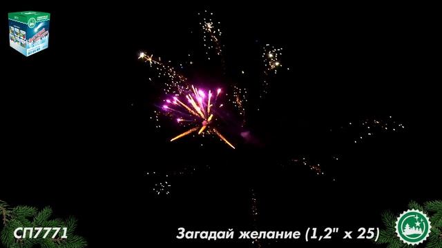 СП7771 смотреть онлайн