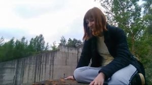 Следующая глава