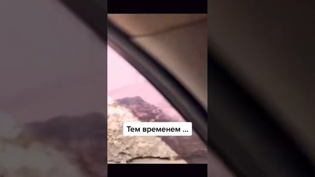 Работа в 2024