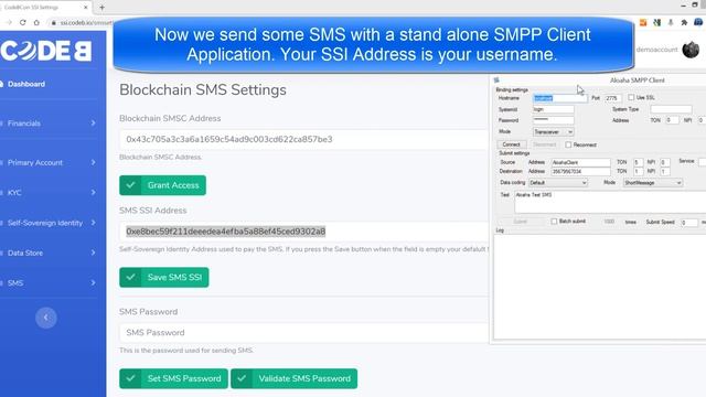 Blockchain SMS Client and SMPP Gateway (bSMSC) смотреть онлайн