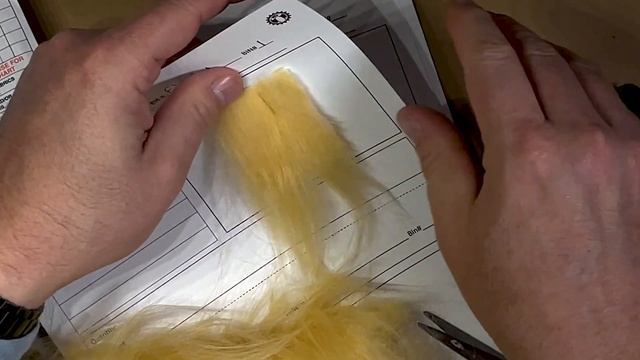 Organizing Fabric смотреть онлайн