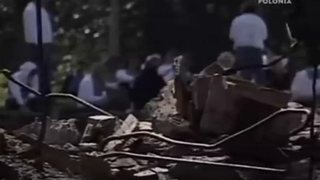Z Kroniki Auschwitz 05 Sonderkommando CLITHE XviD смотреть онлайн