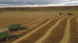 Красивое завершение уборочной  в Красноярском крае