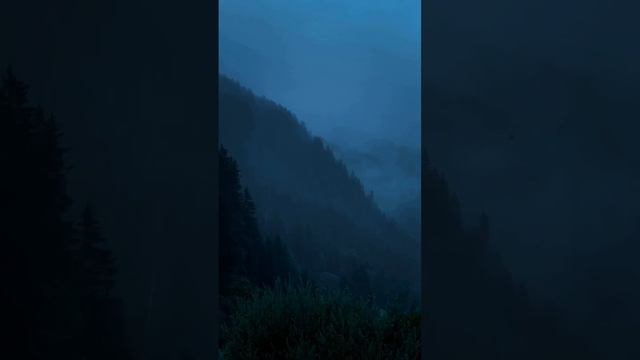 VID_20241009_091651_715.mp4