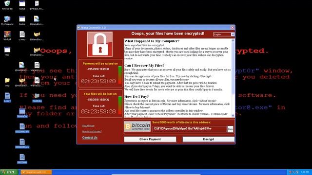 What happens when you run WannaCry on Windows XP смотреть онлайн