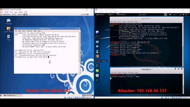Wget Arbitrary File Upload смотреть онлайн