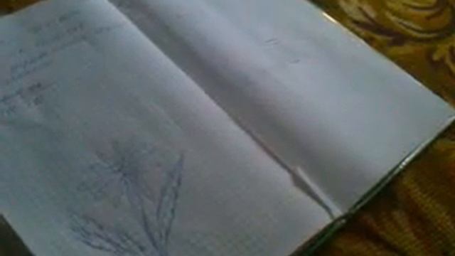 Ораши шоди смотреть онлайн