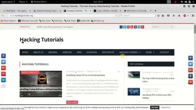 Top 5 Websites to Master Hacking With Kali Linux : For Beginners смотреть онлайн