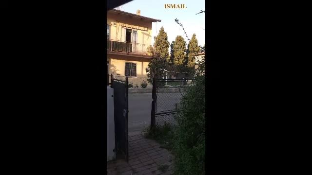 Outside my window, I see … смотреть онлайн