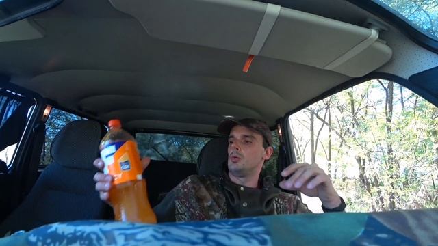 Обучение молодых собак охоте на Фазана! Тренировка подачи дичи. Охота на фазана! смотреть онлайн