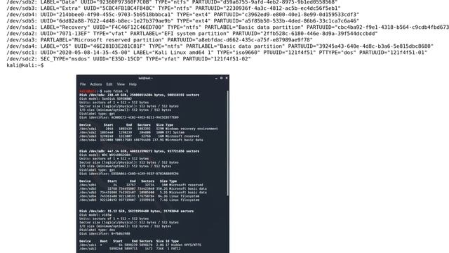 grub-install: error: cannot find EFI directory. (Reinstalling Grub Boot Loader Windows 10/Kali... смотреть онлайн