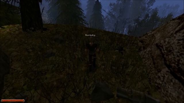 Playing Gothic 2 with a peasant stick смотреть онлайн