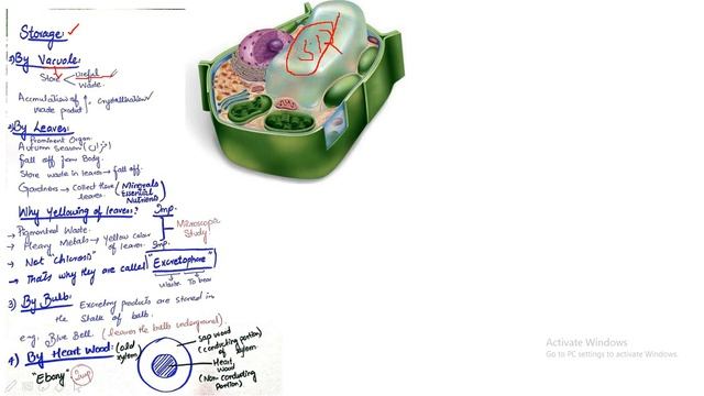 Bio Lecture 04 (2nd Year) смотреть онлайн