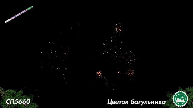 СП 5660 смотреть онлайн