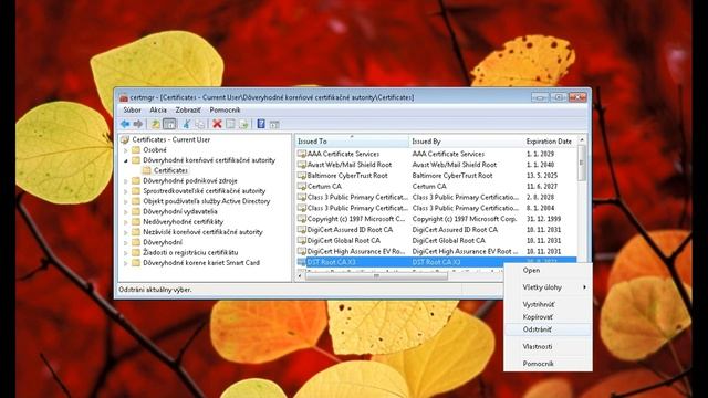 Oprava neplatného certifikátu "DST Root CA X3" v prehliadači Chrome смотреть онлайн