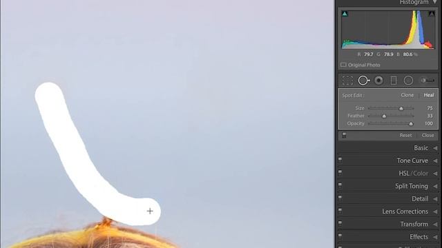 How to REMOVE ANYTHING from a photo using the Spot Healing Tool in Lightroom смотреть онлайн