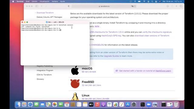 How to install terraform CLI on Mac смотреть онлайн