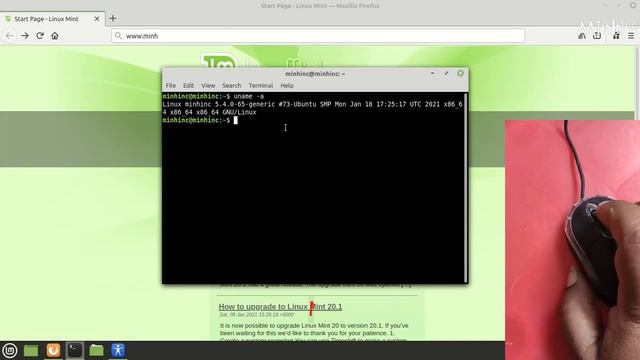 Magnify Zoom Desktop Linux смотреть онлайн