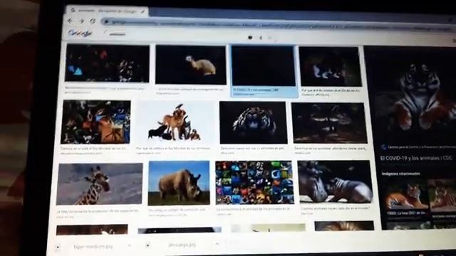 como descargar imagenes de google en tu computadora смотреть онлайн