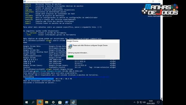 Como instalar programas no Windows 10 e 11 usando o winget смотреть онлайн