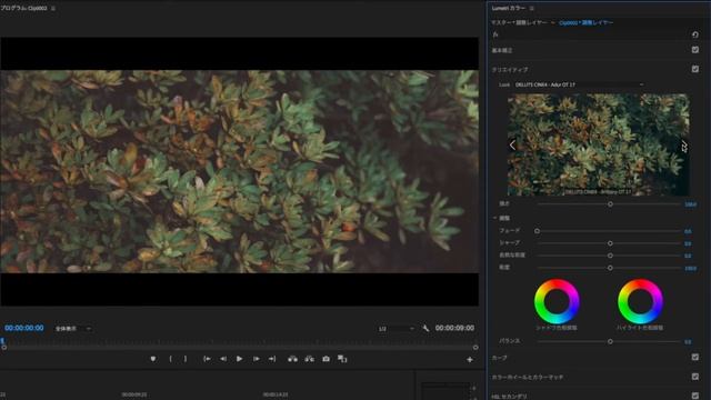 Premiere Pro LUTS Preview смотреть онлайн
