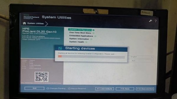 How to check HDD with smart array S100i