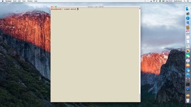 Installing Rudix packages (GNU Wget) смотреть онлайн