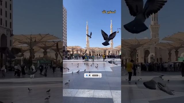 Prophet Muhammad PBUH Said | Ibn Majid Hadees Iba Majah | Hadees Urdu | Rameez смотреть онлайн
